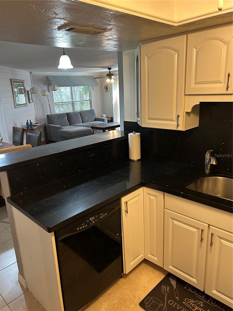 1505 LENNOX RD E #1505, PALM HARBOR, FL — photo 7