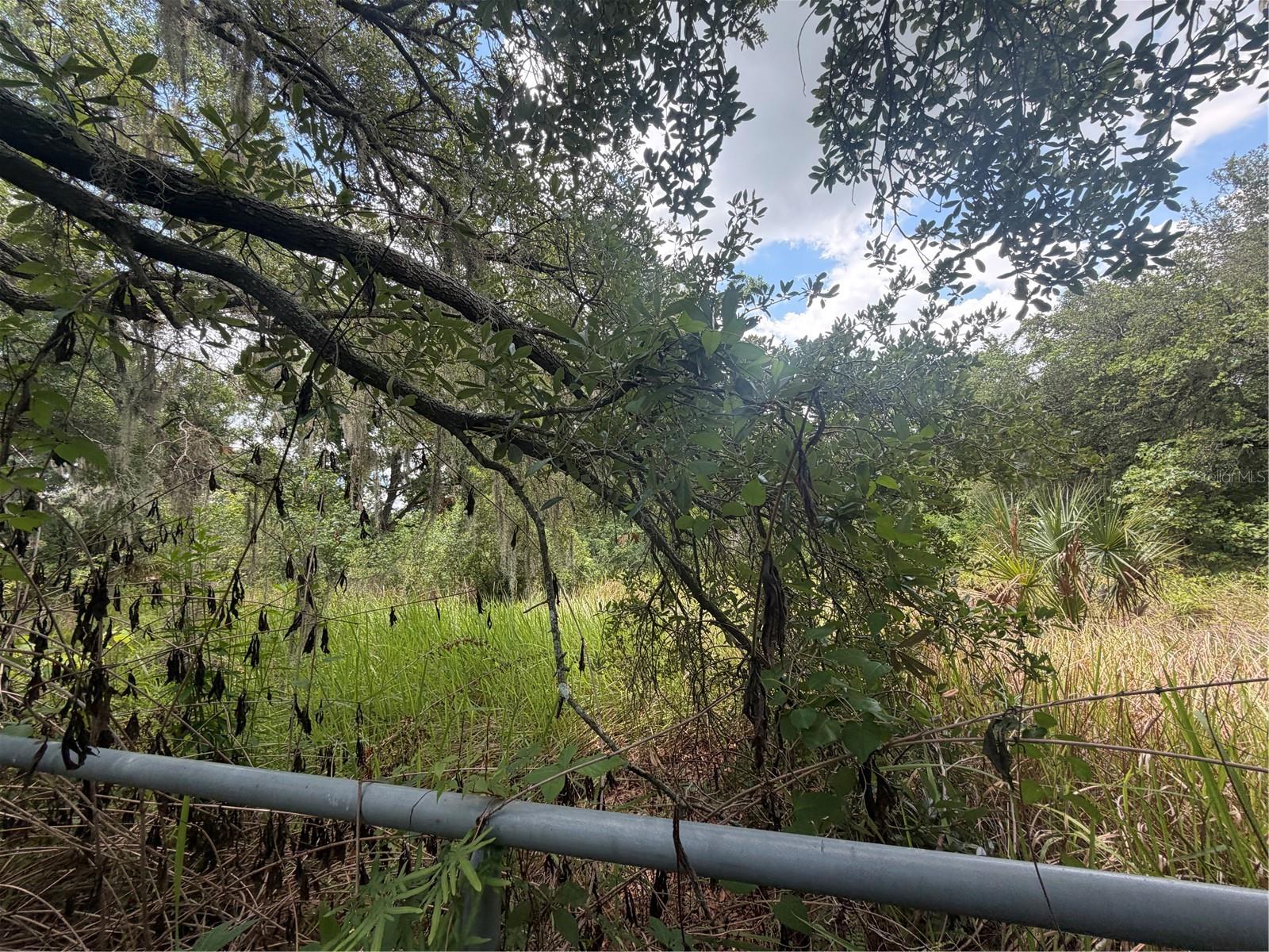 4447 EDWARDS RD, PLANT CITY, FL — photo 4