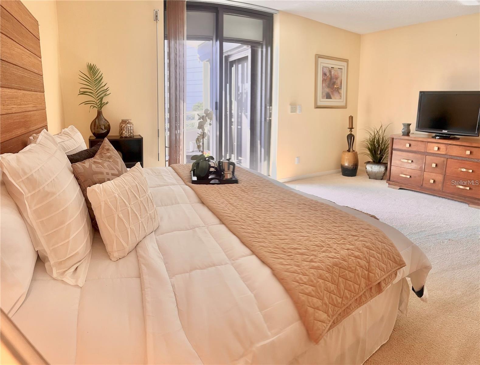 5950 PELICAN BAY PLZ S #505, GULFPORT, FL — photo 25