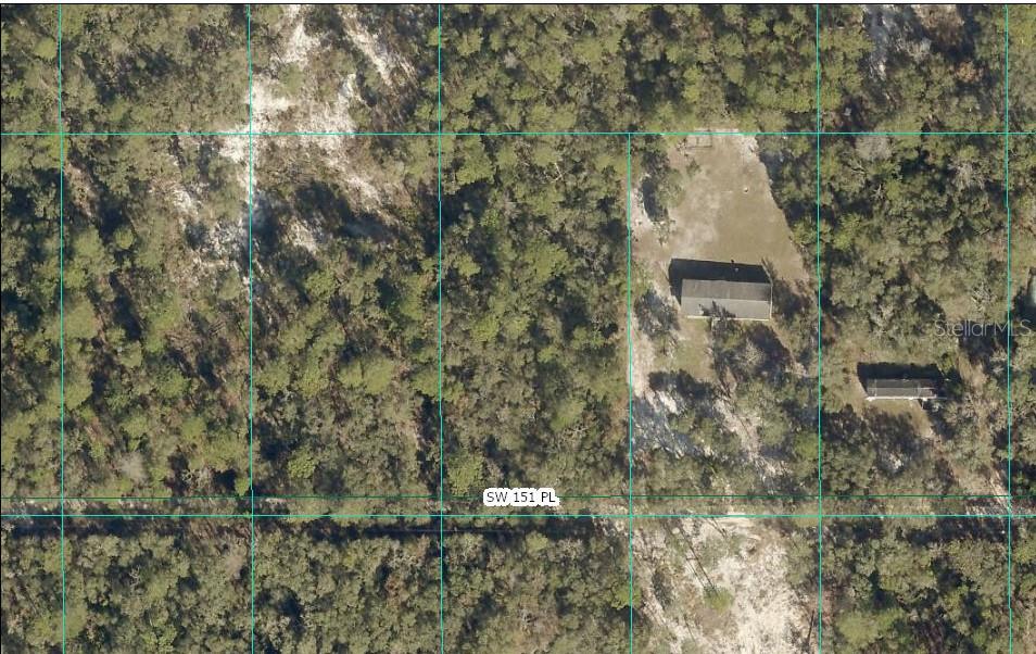 TBD SW 151ST PL, DUNNELLON, FL — photo 2