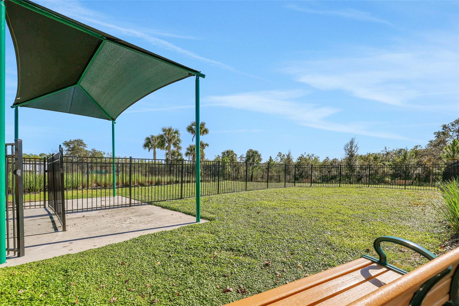 13019 SERENE GLADE RD, WINTER GARDEN, FL — photo 39