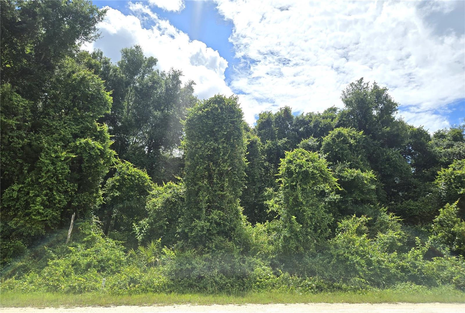 ALLOY ST, WEBSTER, FL — photo 2