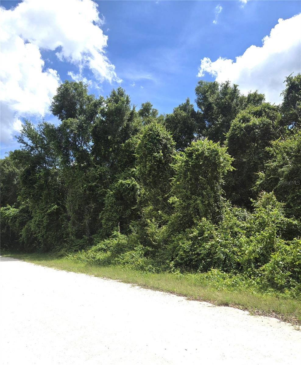 ALLOY ST, WEBSTER, FL — photo 5