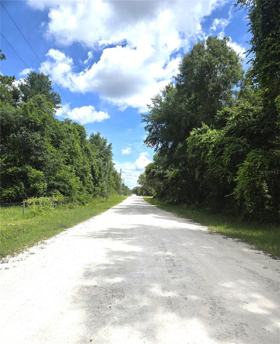 ALLOY ST, WEBSTER, FL — photo 7