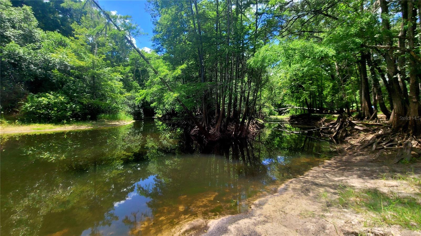 8664 CR 639, BUSHNELL, FL — photo 27