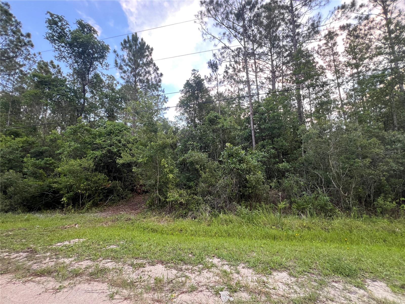 1411 ELDER ST, BUNNELL, FL — photo 4