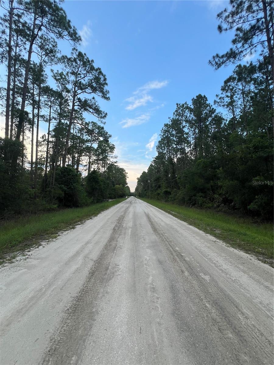1411 ELDER ST, BUNNELL, FL — photo 5