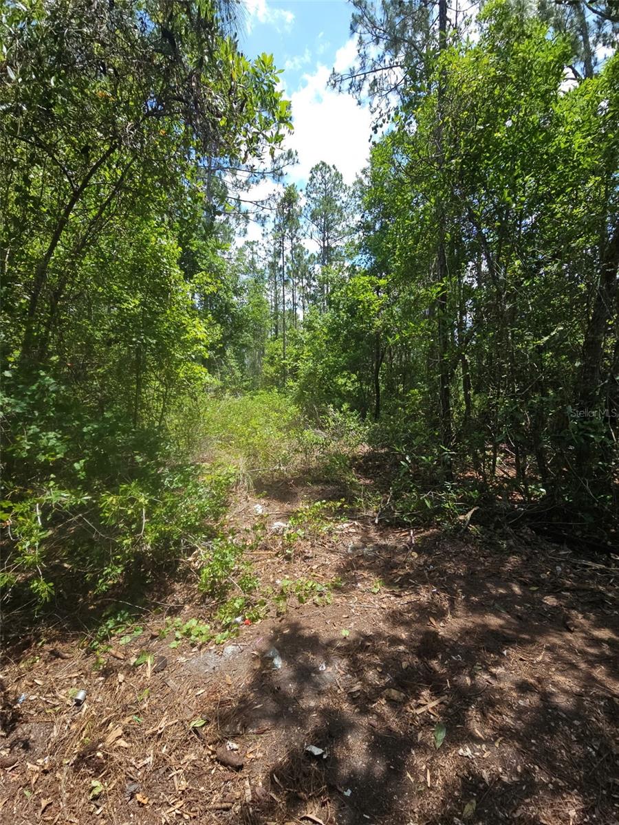 1411 ELDER ST, BUNNELL, FL — photo 7