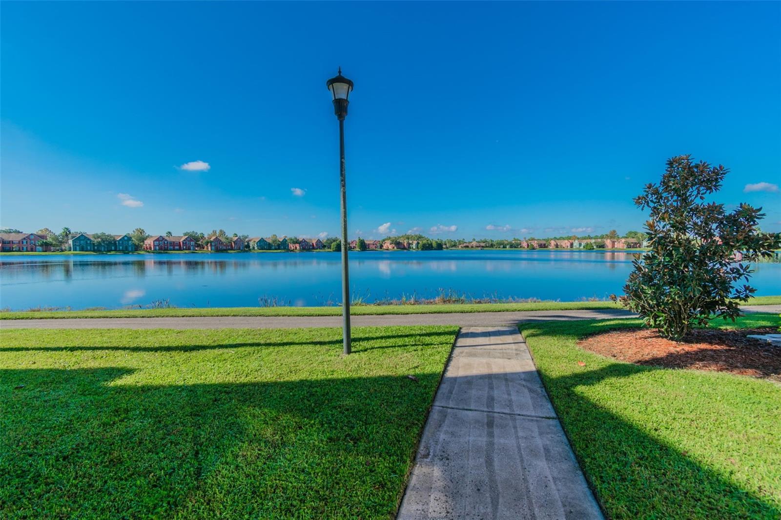 9064 LAKE CHASE ISLAND WAY, TAMPA, FL — photo 51