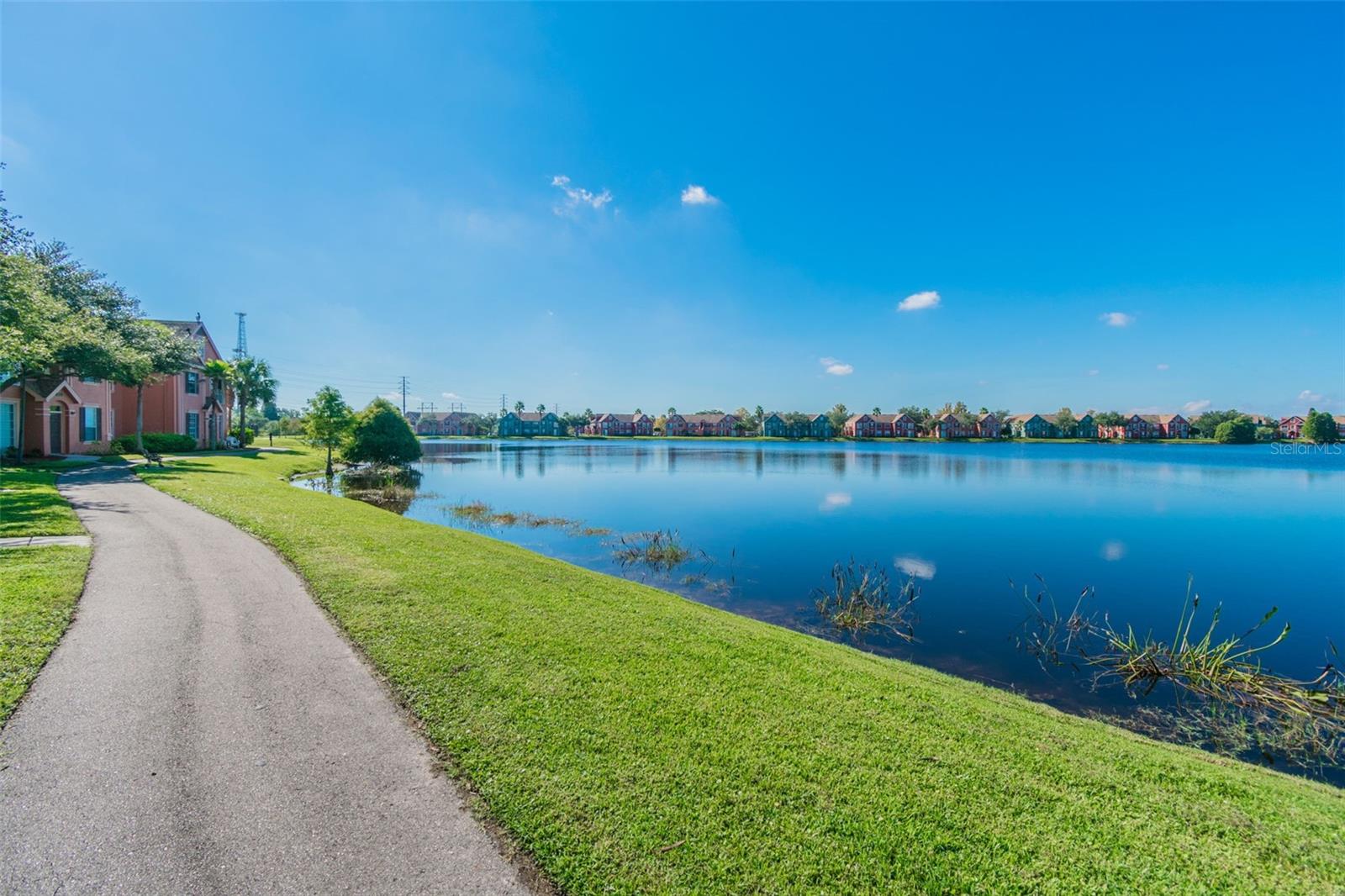 9064 LAKE CHASE ISLAND WAY, TAMPA, FL — photo 52