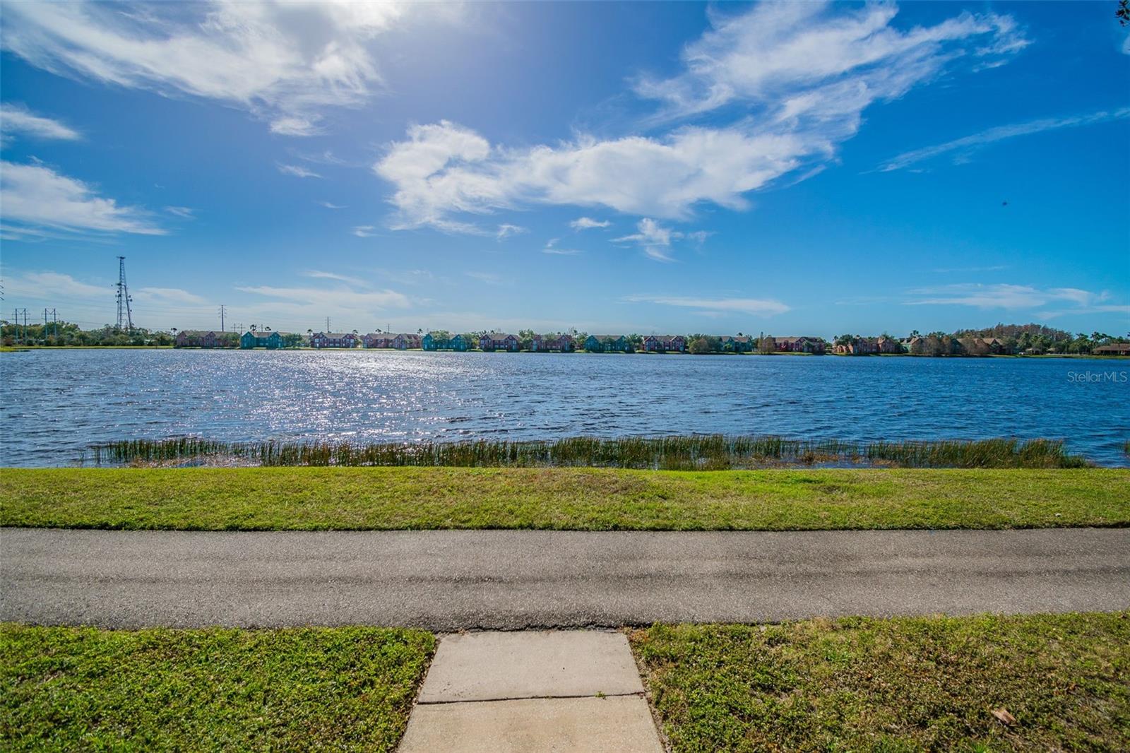 9064 LAKE CHASE ISLAND WAY, TAMPA, FL — photo 56