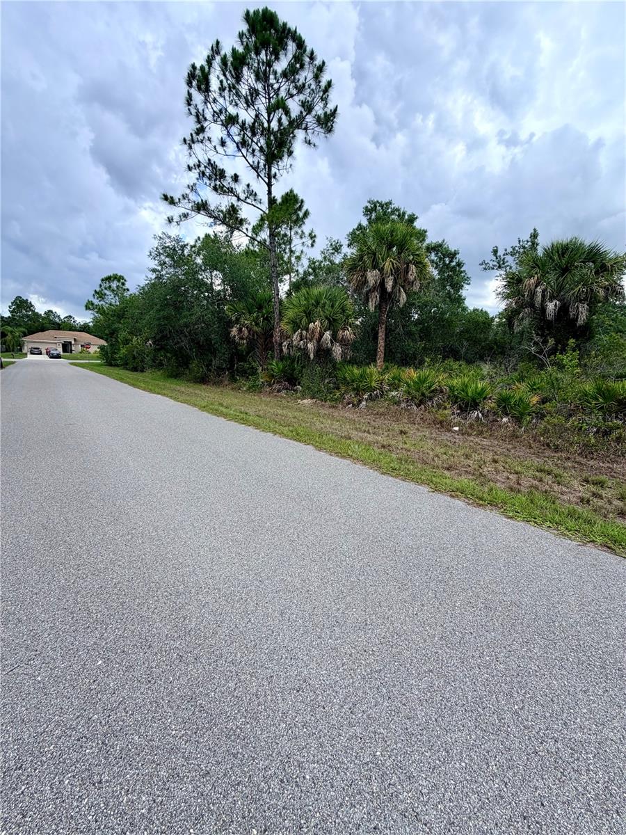 13334 GOLD AVE, PORT CHARLOTTE, FL — photo 4