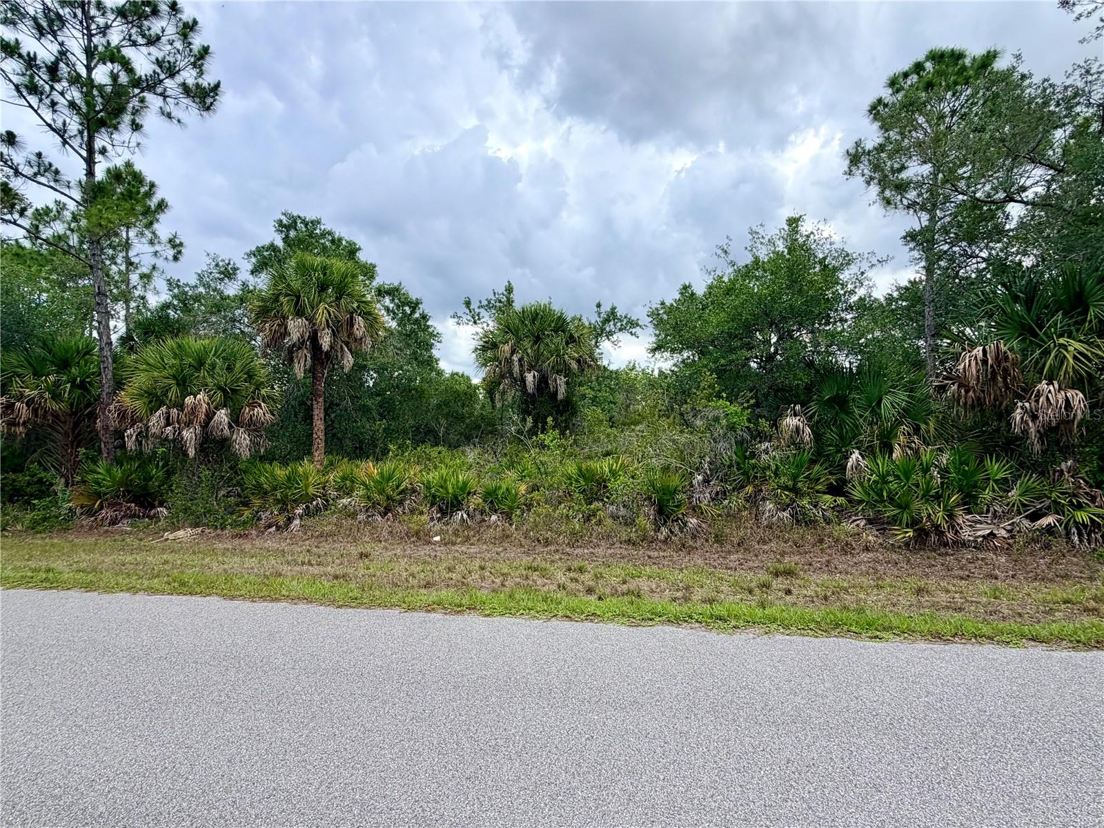 13334 GOLD AVE, PORT CHARLOTTE, FL — photo 5