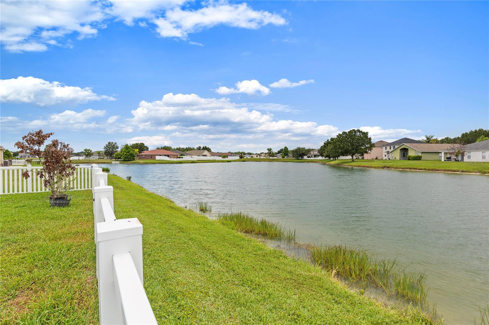 31415 BRIDGEGATE DR, WESLEY CHAPEL, FL — photo 51