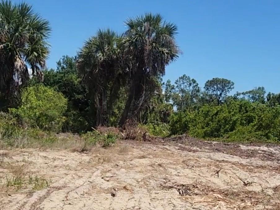 12323 CLARENDON AVE, PORT CHARLOTTE, FL — photo 3