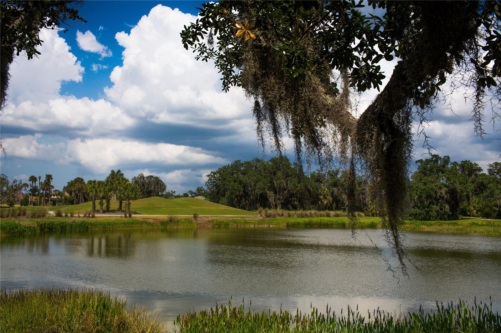 13411 HERITAGE PRESERVE DR, FORT MYERS, FL — photo 22