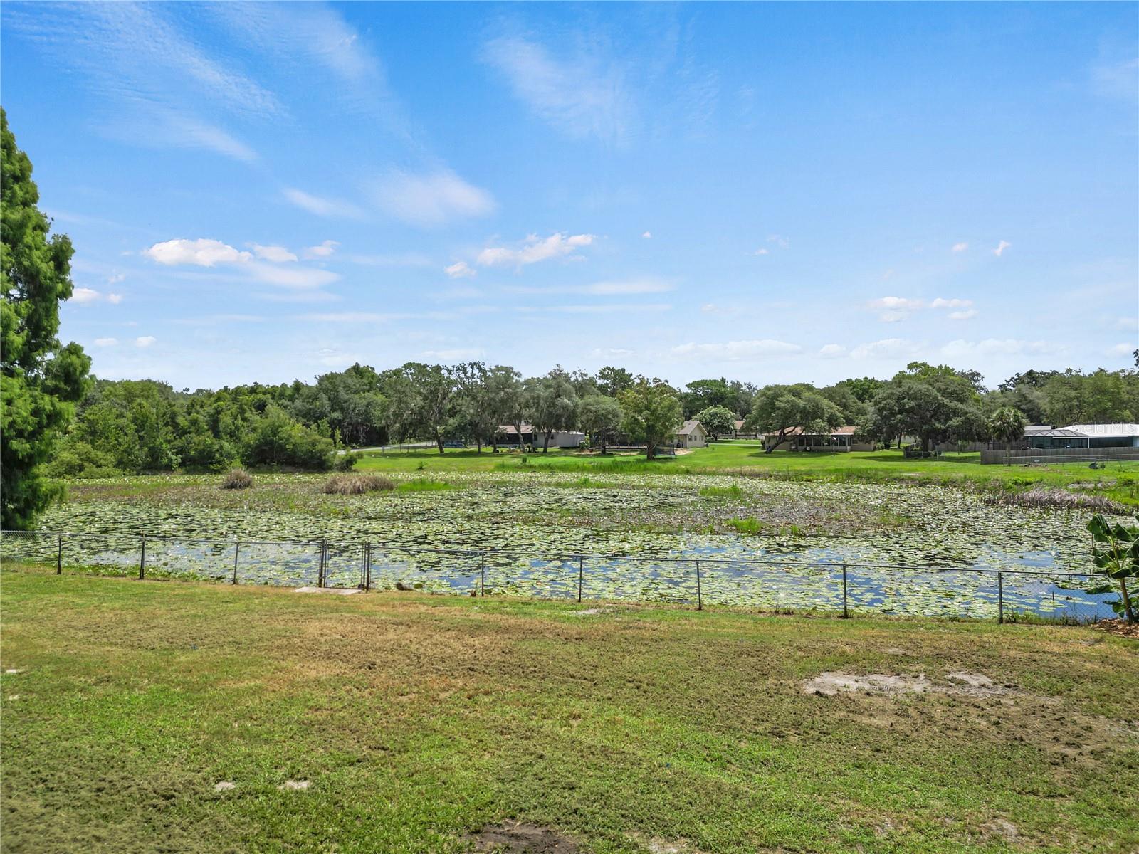 2457 S SUMMERWOOD PT, INVERNESS, FL — photo 38