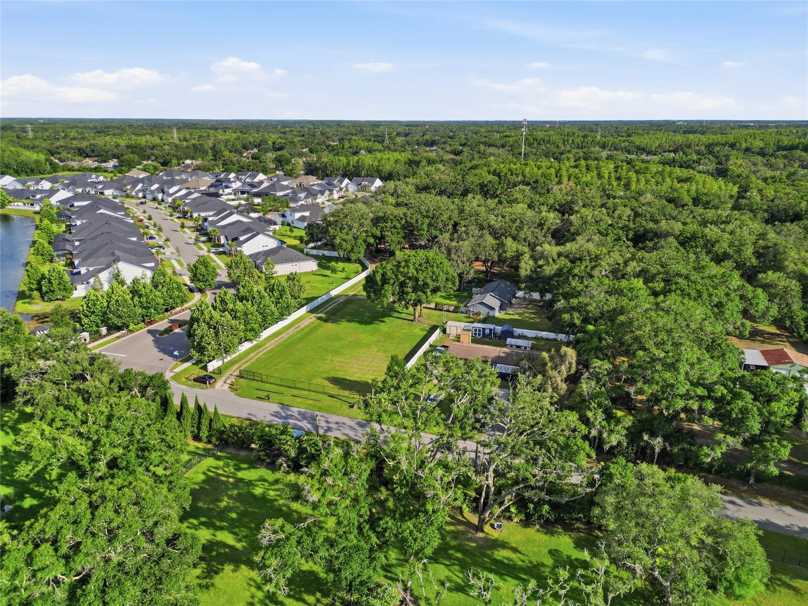 7608 COPELAND RD, ODESSA, FL — photo 5