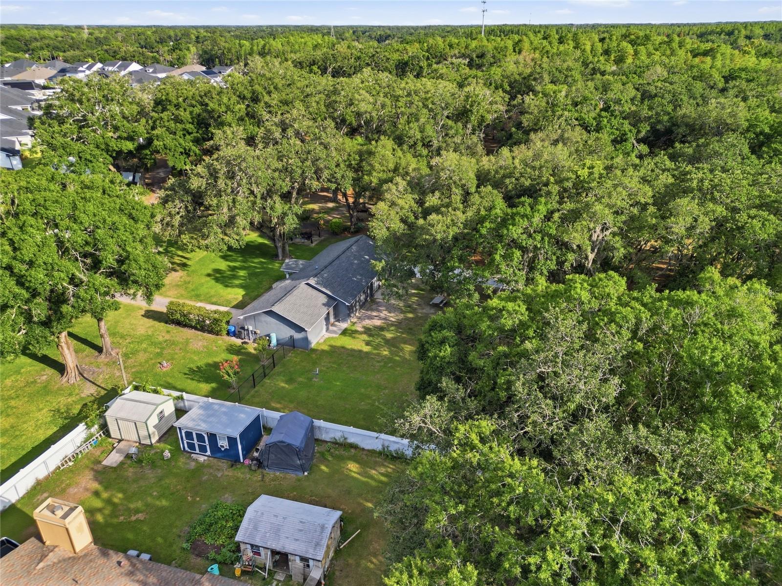 7608 COPELAND RD, ODESSA, FL — photo 45