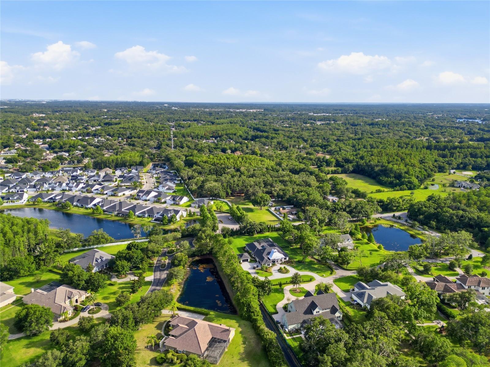 7608 COPELAND RD, ODESSA, FL — photo 48