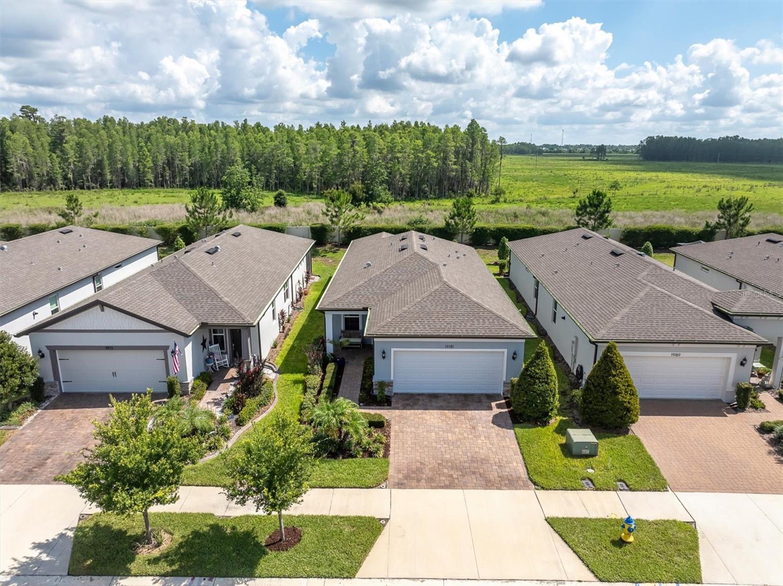 19181 IRON TOPSAIL ISLE, LAND O LAKES, FL — photo 2