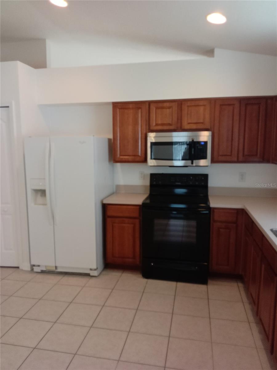 7733 OUTERBRIDGE ST, WESLEY CHAPEL, FL — photo 8