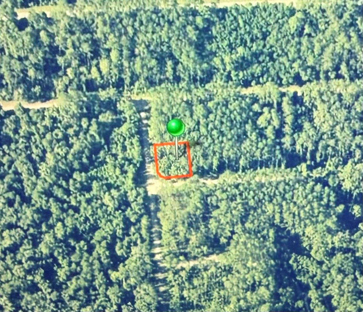 1124 VERCELLI LN, CITRUS SPRINGS, FL — photo 2
