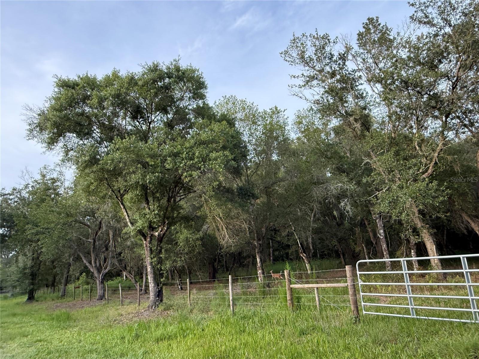 SE BROWN RD, ARCADIA, FL