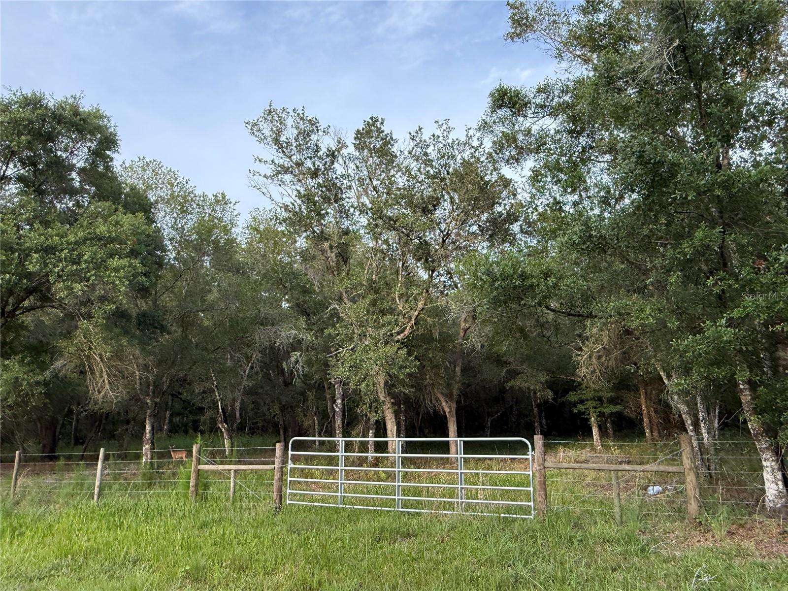 SE BROWN RD, ARCADIA, FL — photo 4