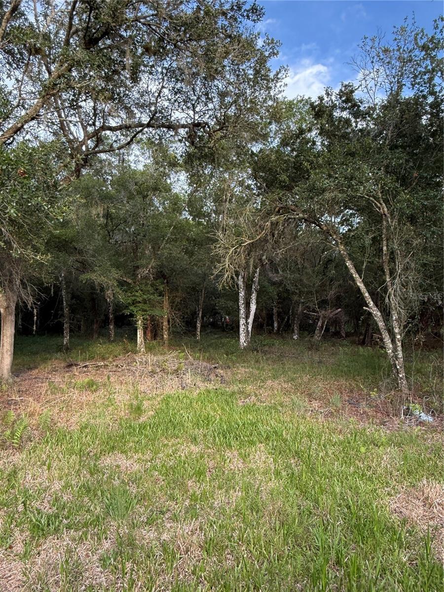 SE BROWN RD, ARCADIA, FL — photo 5