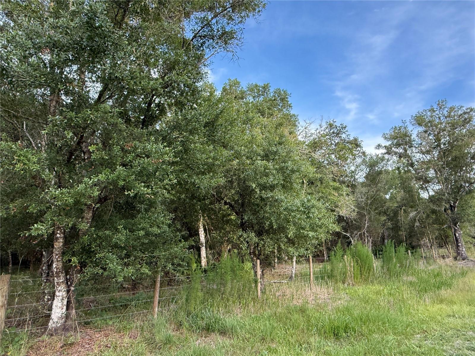 SE BROWN RD, ARCADIA, FL — photo 6