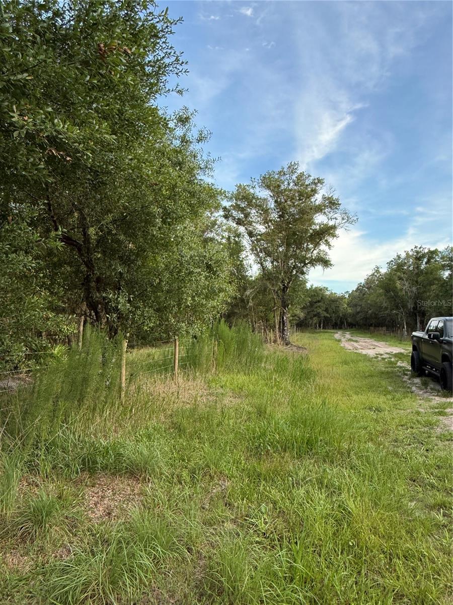 SE BROWN RD, ARCADIA, FL — photo 13