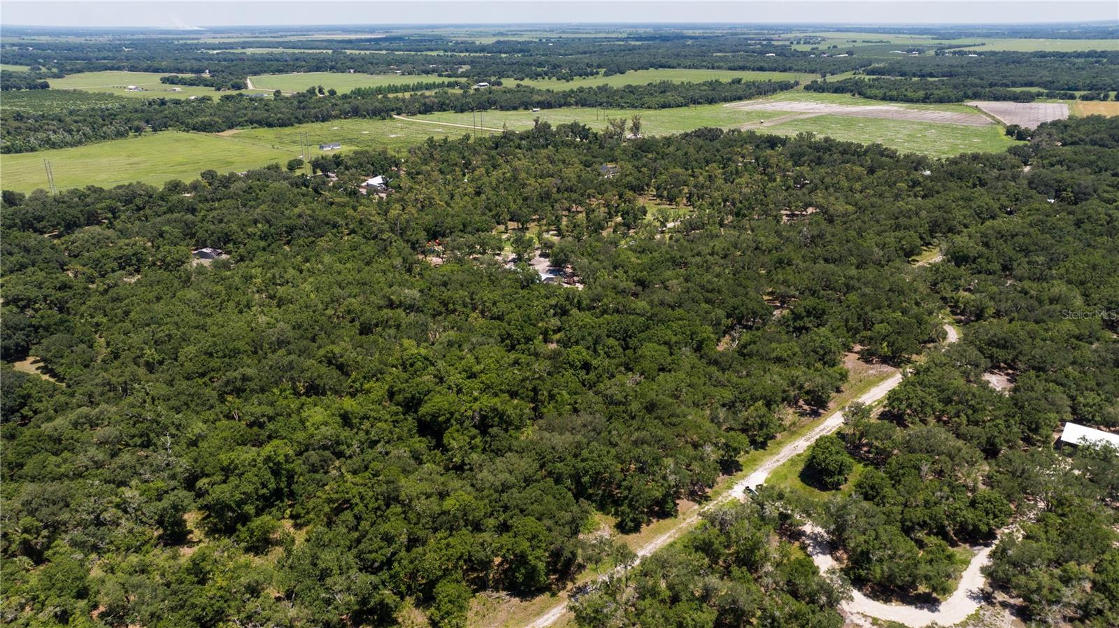SE BROWN RD, ARCADIA, FL — photo 15