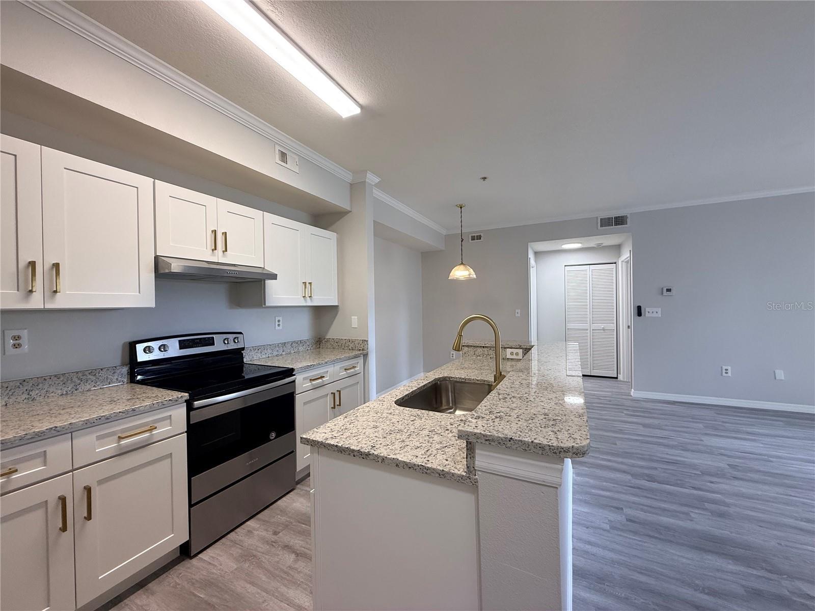 5618 PINNACLE HEIGHTS CIR #305, TAMPA, FL — photo 4