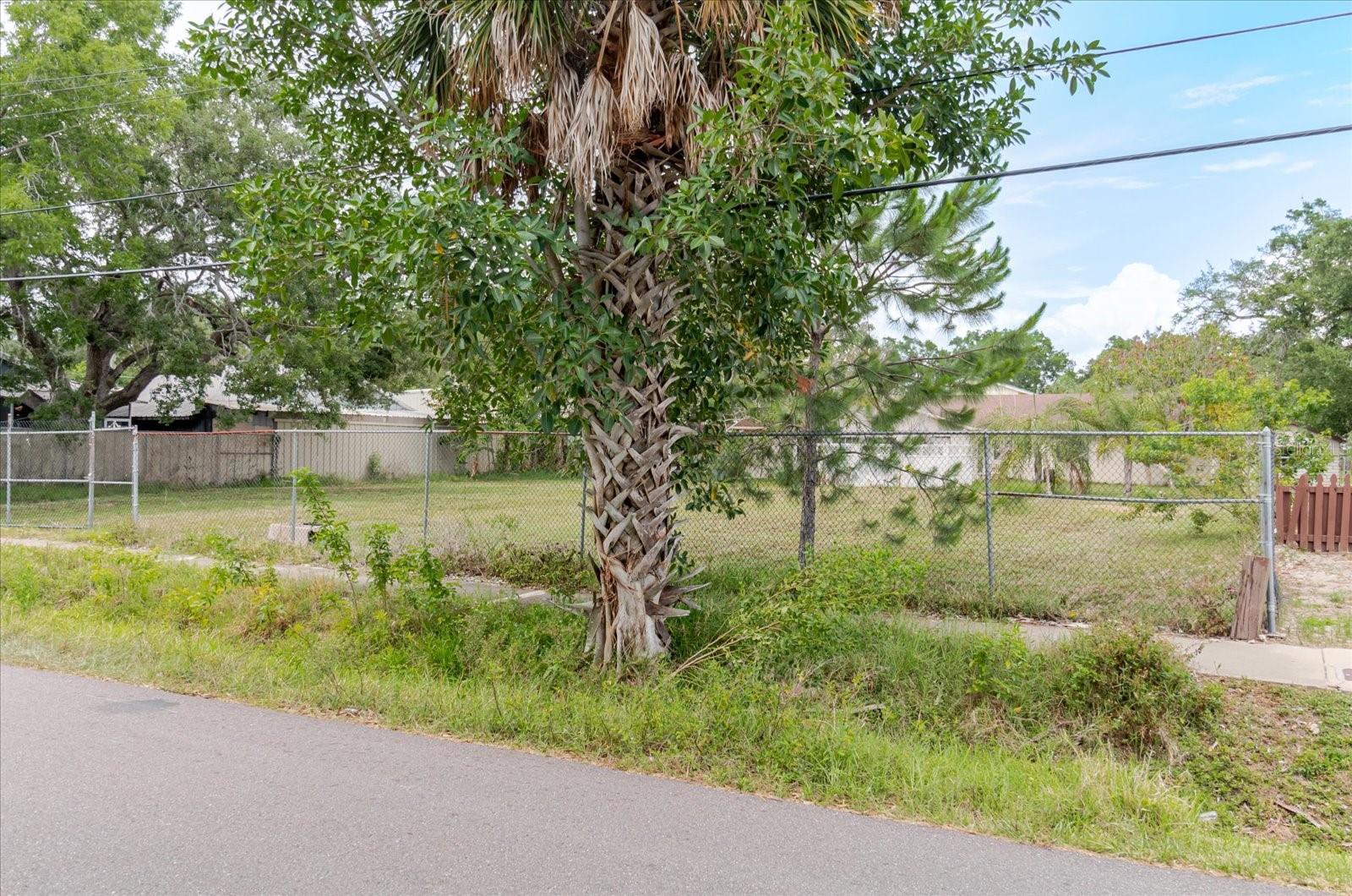 7210 S SHERRILL ST, TAMPA, FL — photo 7