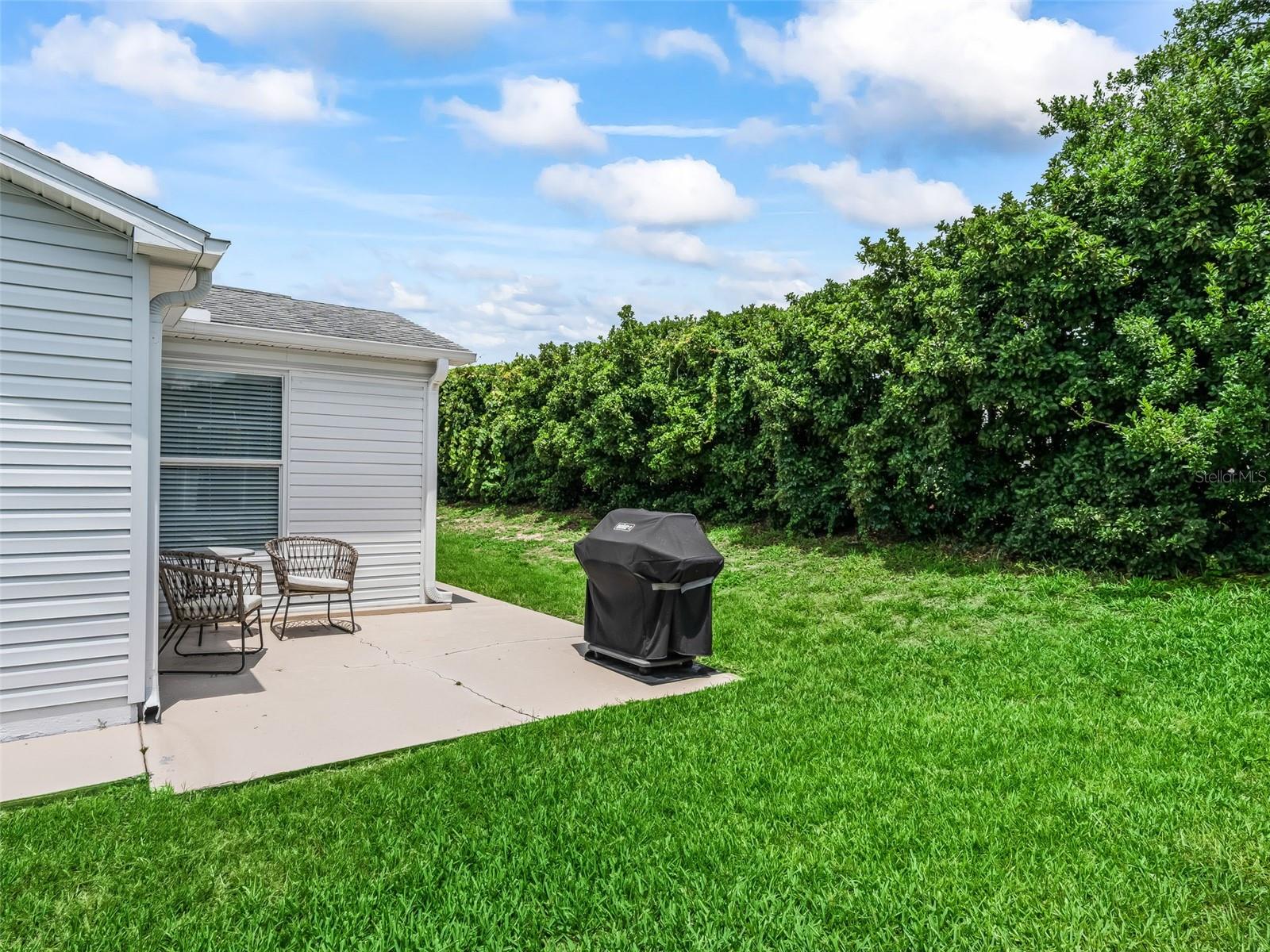 321 SAN MARINO DR, THE VILLAGES, FL — photo 37