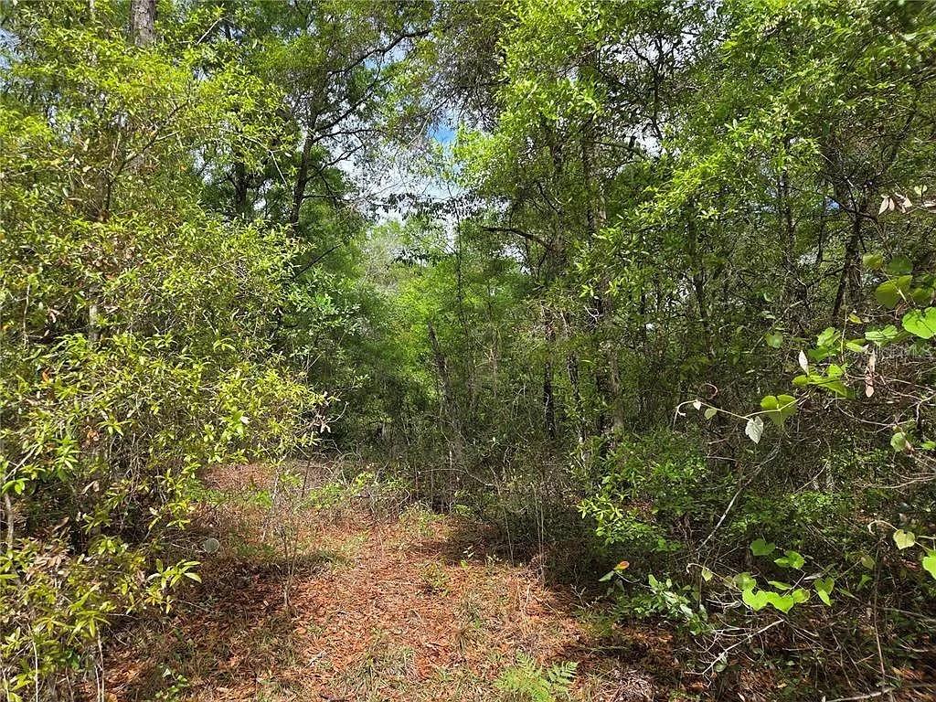 Lots 4 & 5 NW 56TH ST, CHIEFLAND, FL