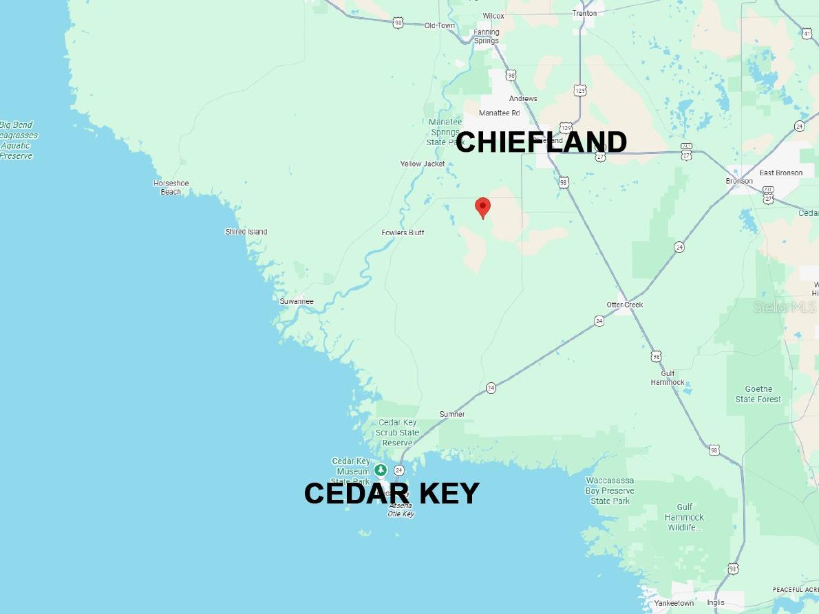Lots 4 & 5 NW 56TH ST, CHIEFLAND, FL — photo 5