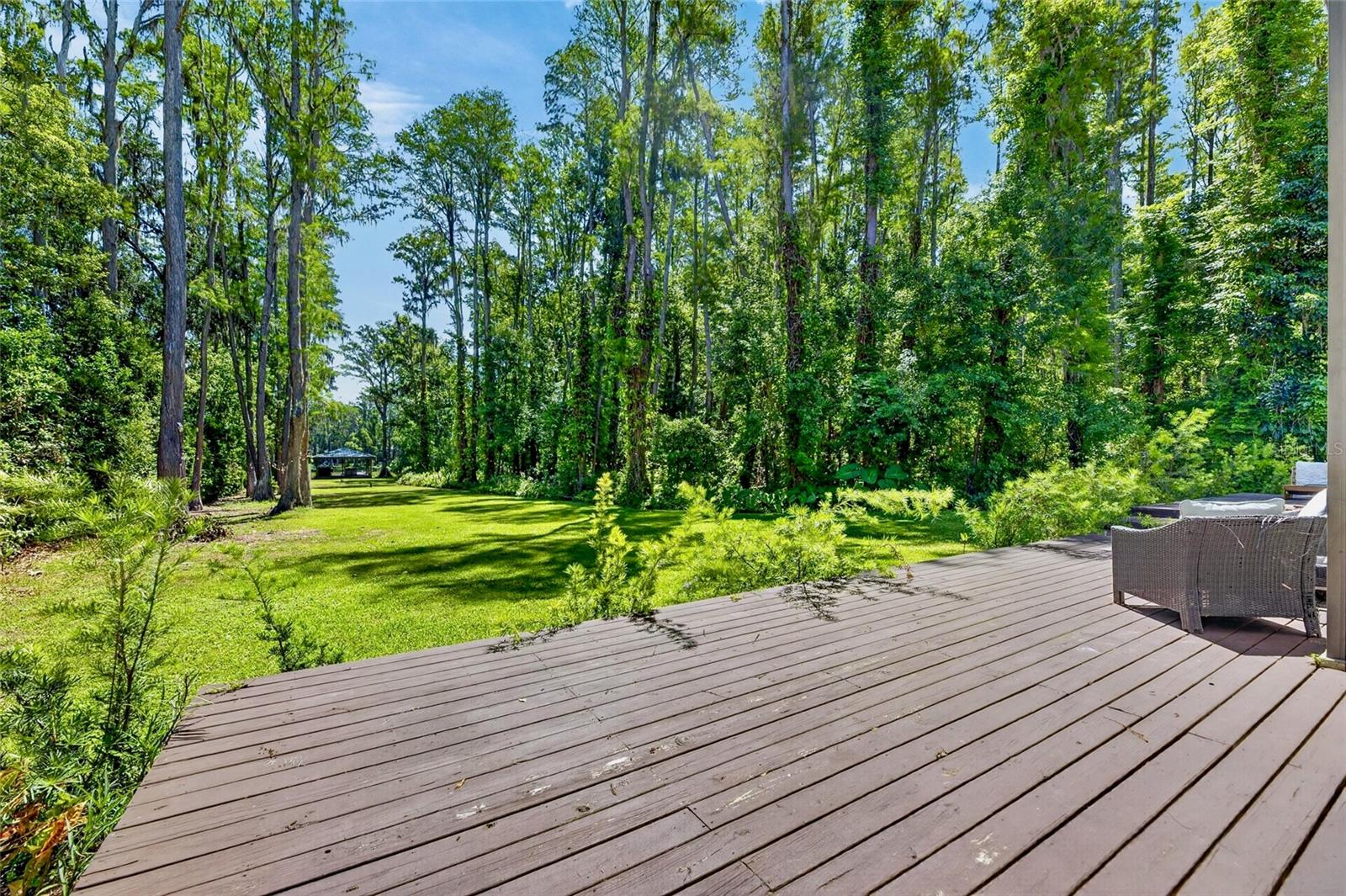 17309 LINDA VISTA CIR, LUTZ, FL — photo 51