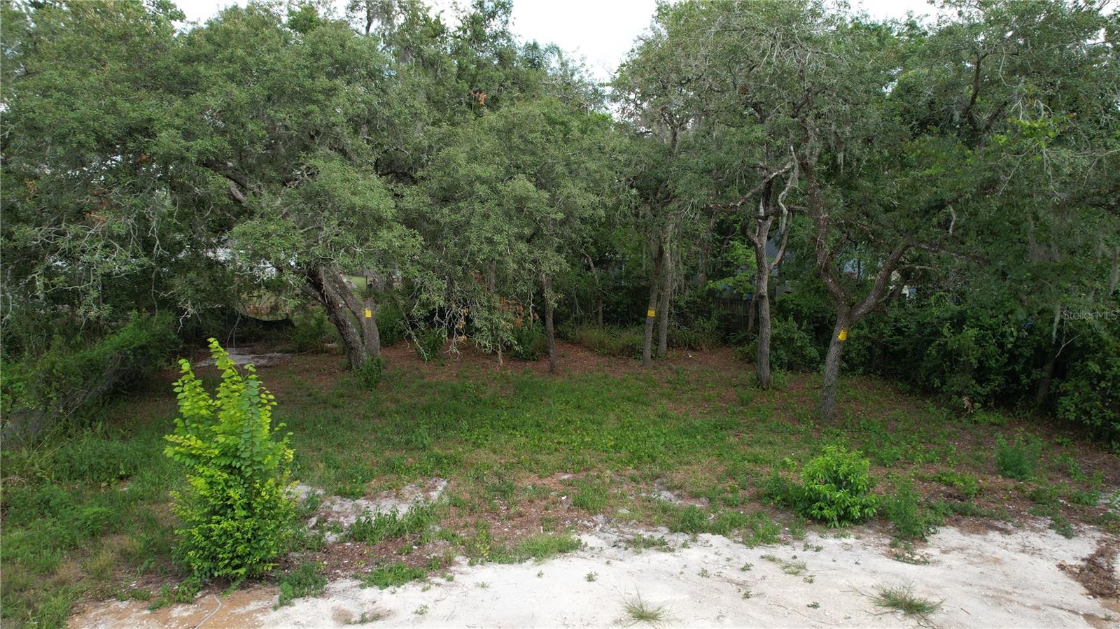 11406 POLO ST, NEW PORT RICHEY, FL — photo 4