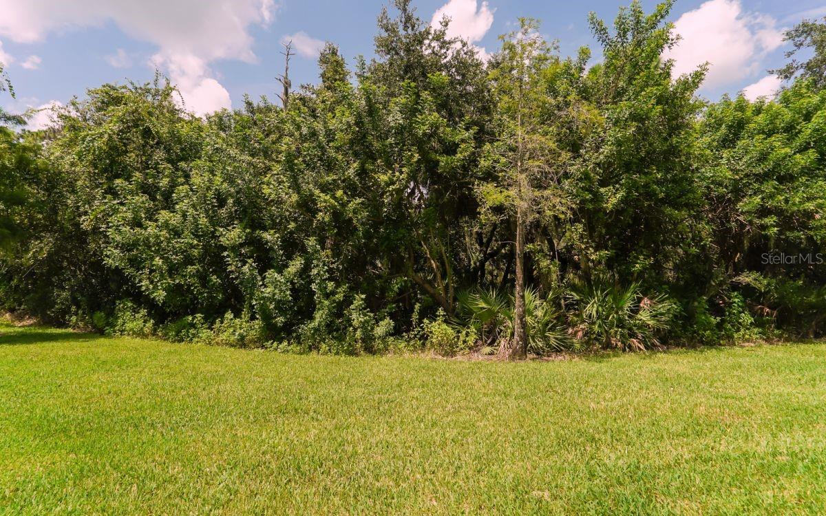 7339 BLACK WALNUT WAY, LAKEWOOD RANCH, FL — photo 21