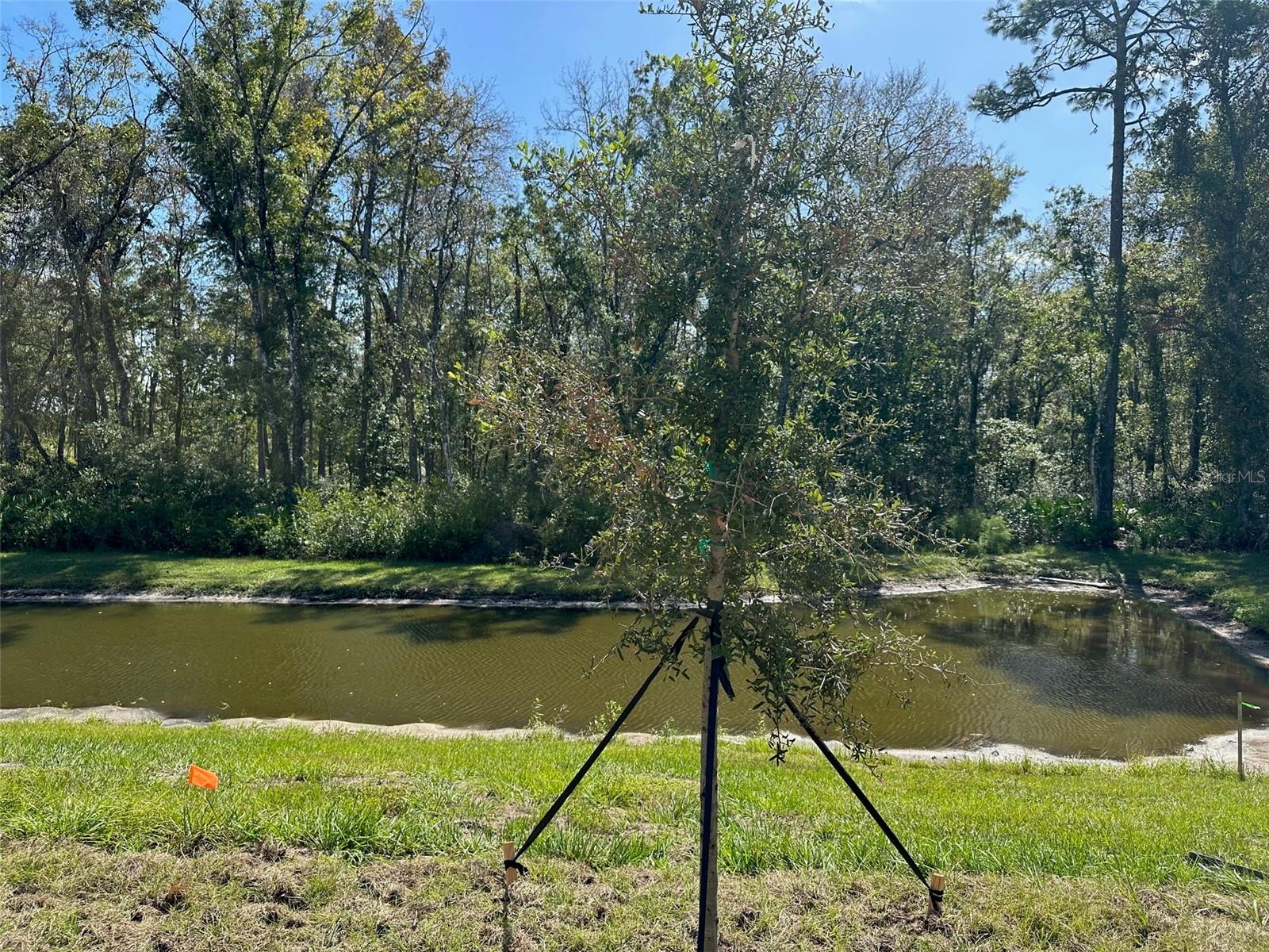 , LAND O LAKES, FL — photo 25