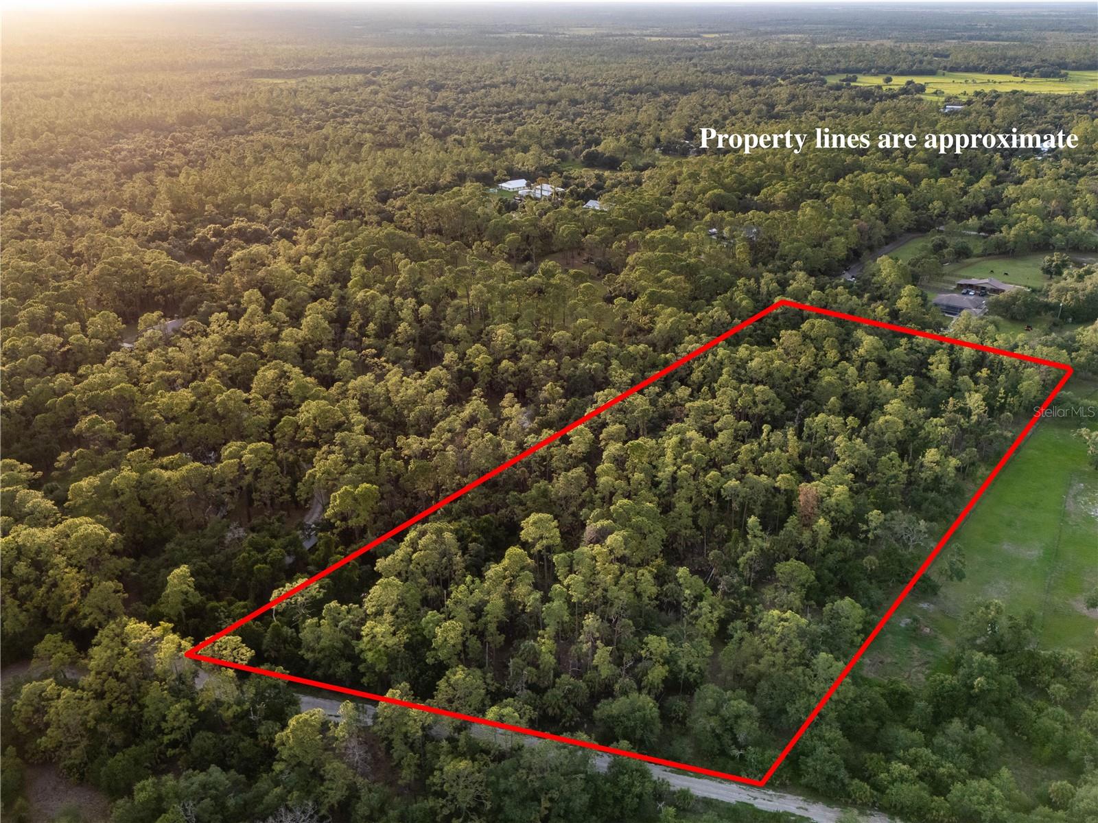 SLASH PINE DR, NORTH PORT, FL — photo 13