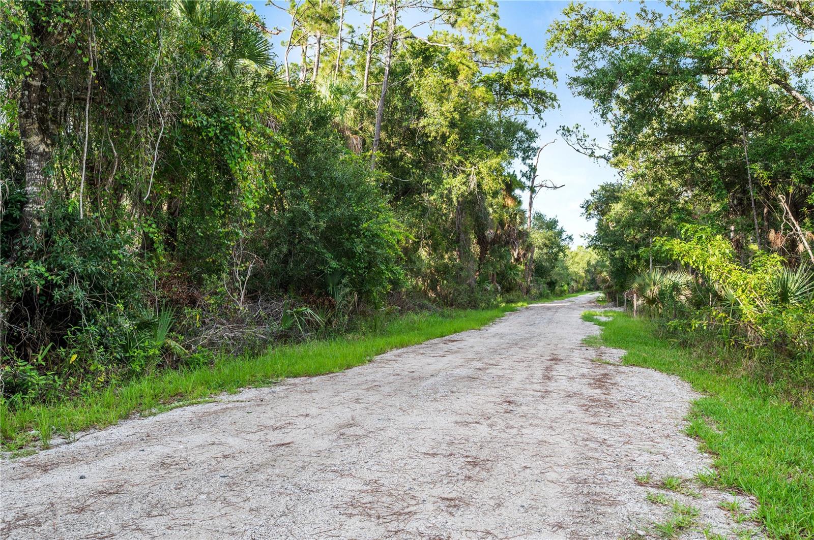 SLASH PINE DR, NORTH PORT, FL — photo 23