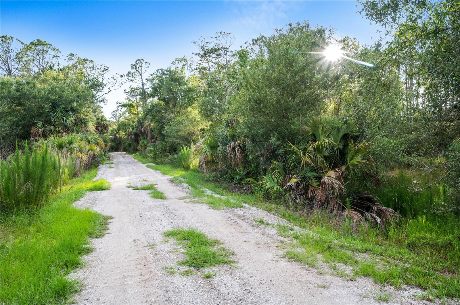 SLASH PINE DR, NORTH PORT, FL — photo 25
