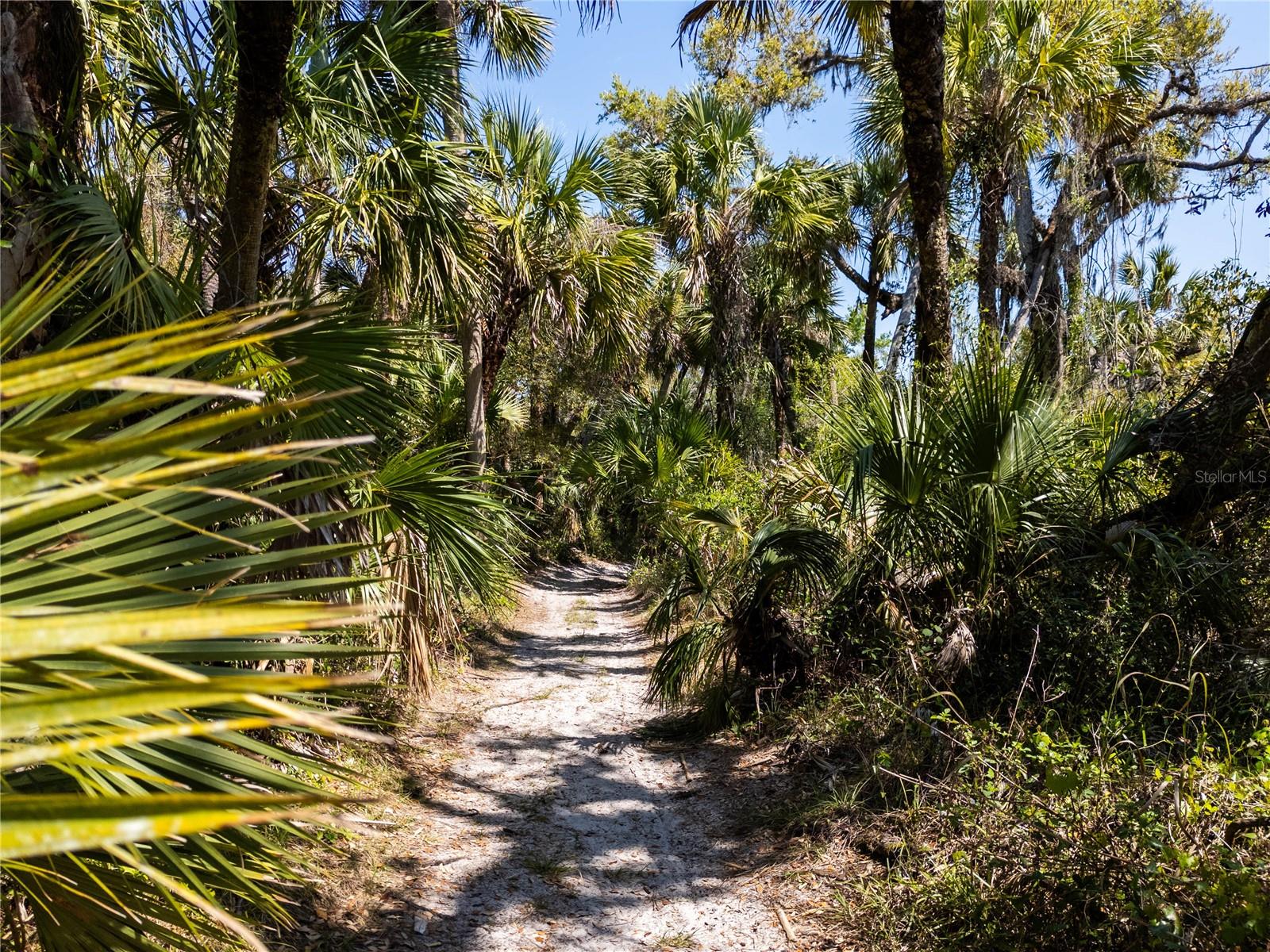SLASH PINE DR, NORTH PORT, FL — photo 75