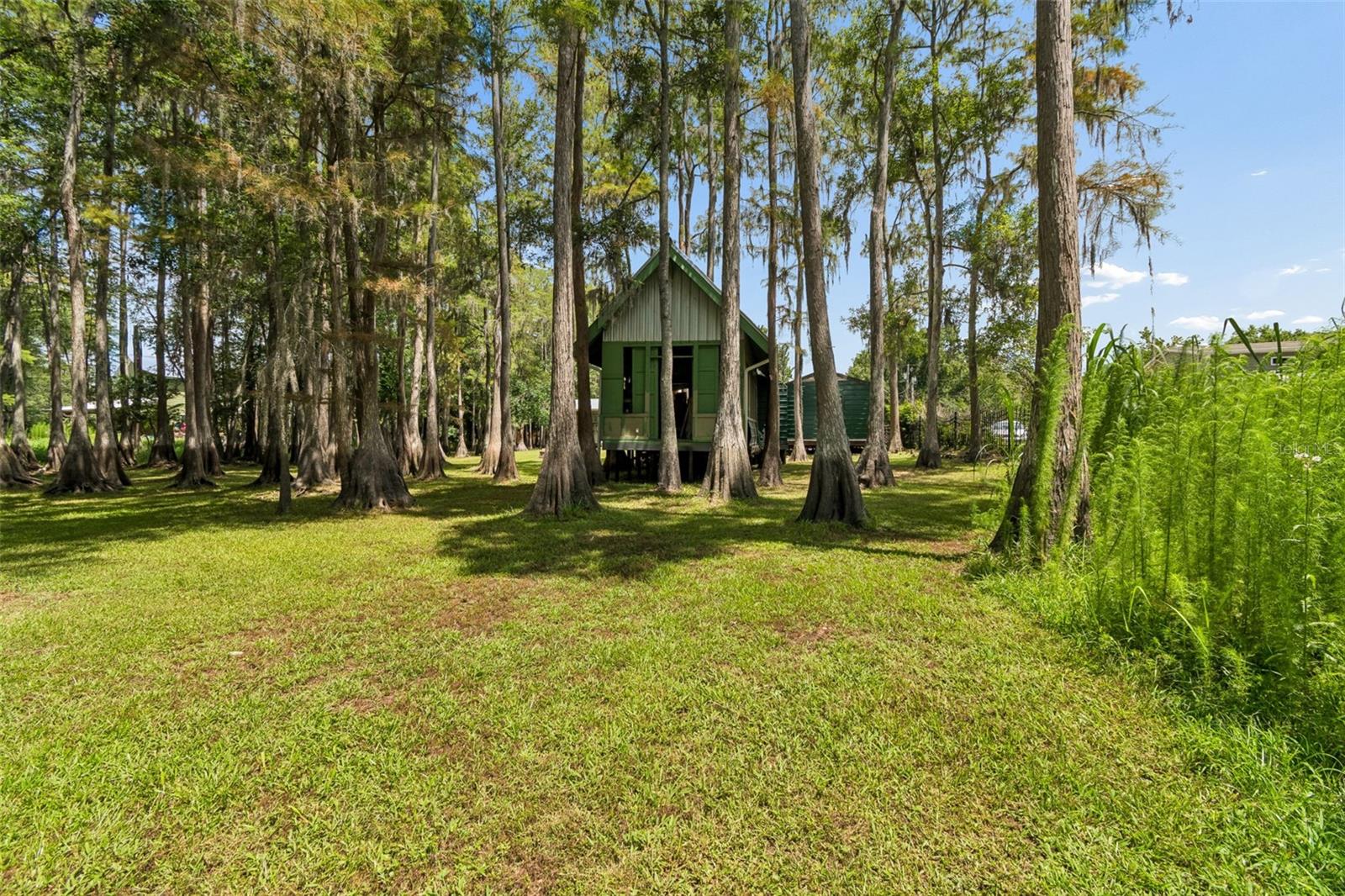 17808 DOGWOOD DR, LUTZ, FL — photo 43