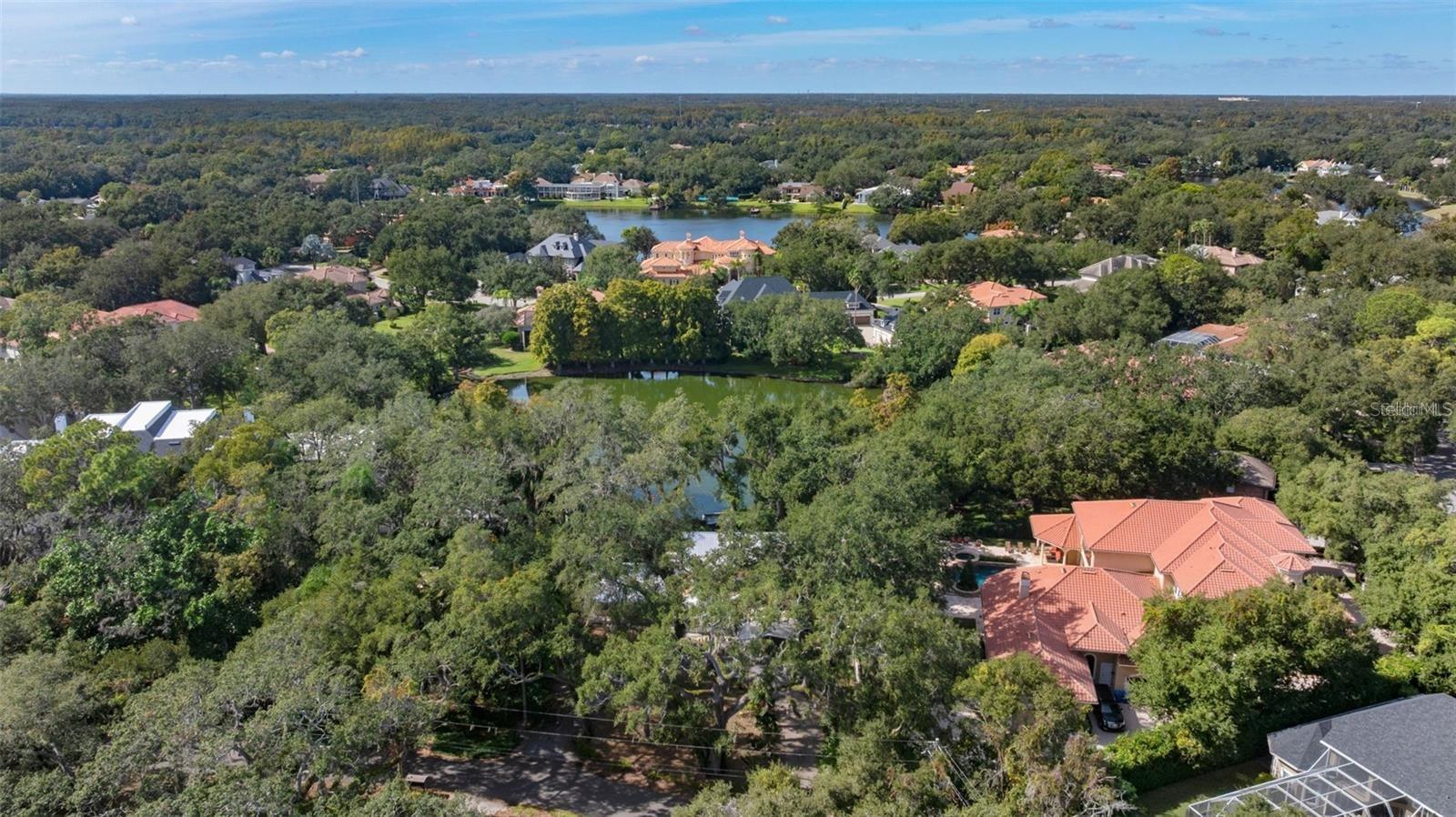 315 WOOTEN RD, LUTZ, FL — photo 56