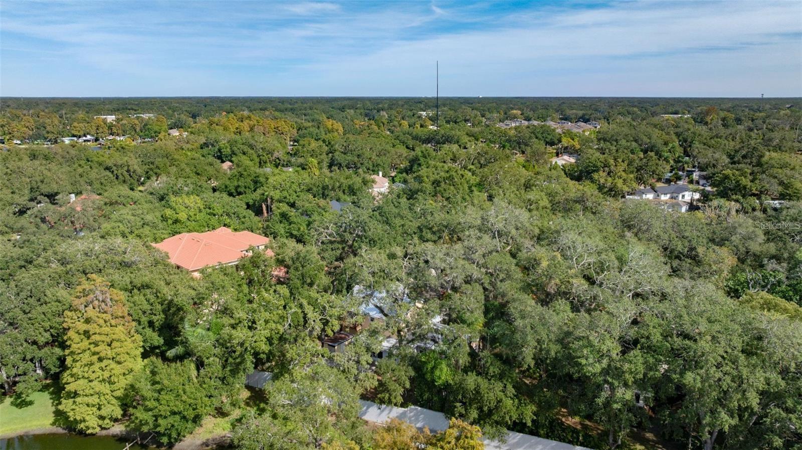 315 WOOTEN RD, LUTZ, FL — photo 58