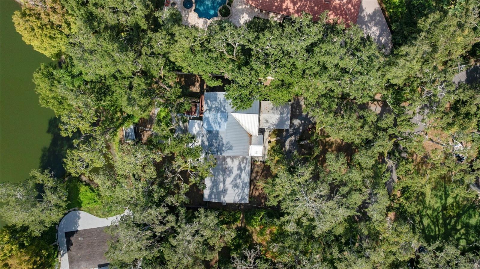 315 WOOTEN RD, LUTZ, FL — photo 60